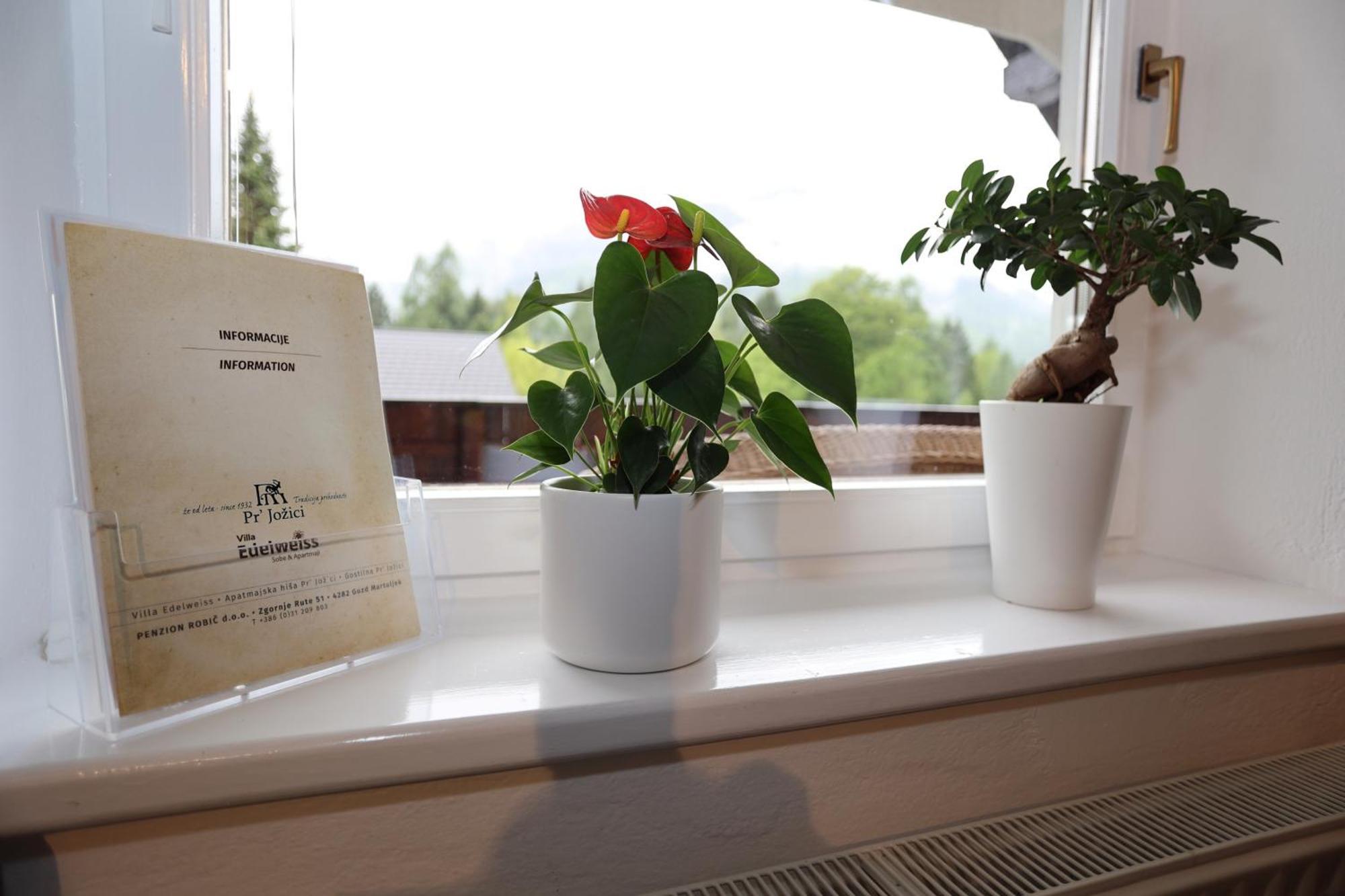 Vila Edelweiss Rooms&App Kranjska Gora Esterno foto